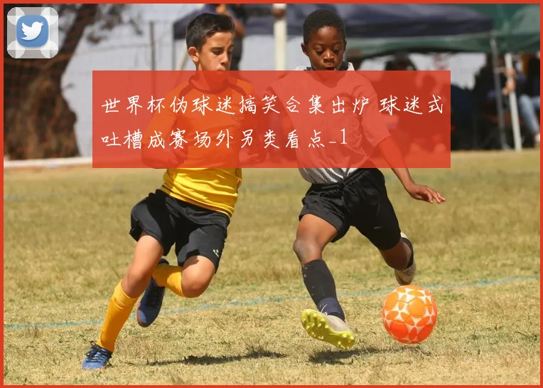 世界杯伪球迷搞笑合集出炉 球迷式吐槽成赛场外另类看点_1