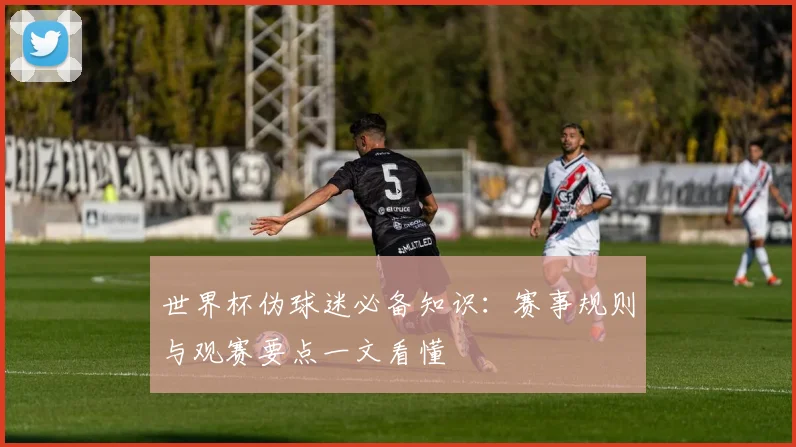 世界杯伪球迷必备知识:赛事规则与观赛要点一文看懂