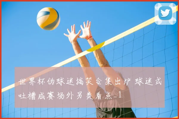 世界杯伪球迷搞笑合集出炉 球迷式吐槽成赛场外另类看点_1